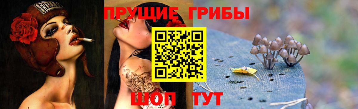 Галлюциногенные грибы мицелий Славянск-на-Кубани